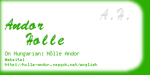andor holle business card